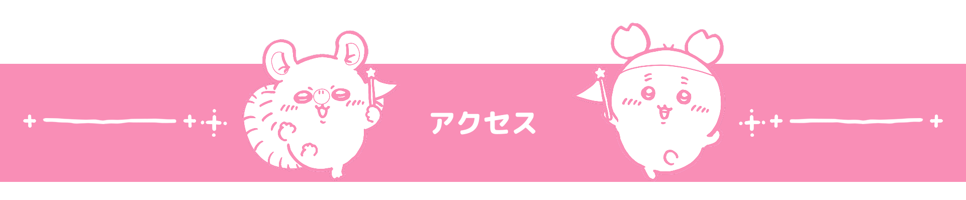 ACCESS